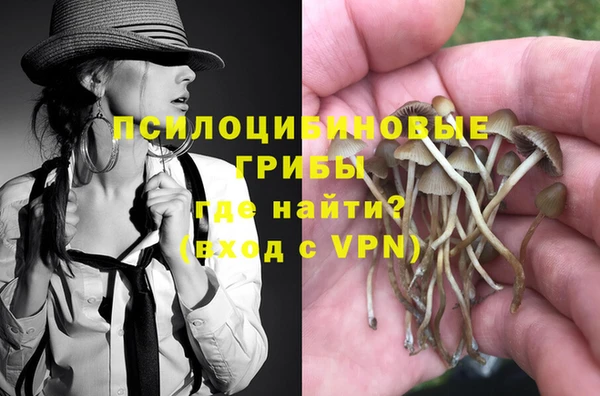 круглые Белокуриха