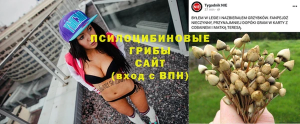 мескалин Балахна
